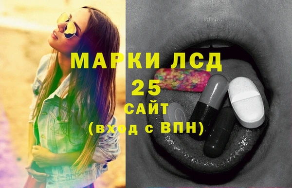 шишки Балахна