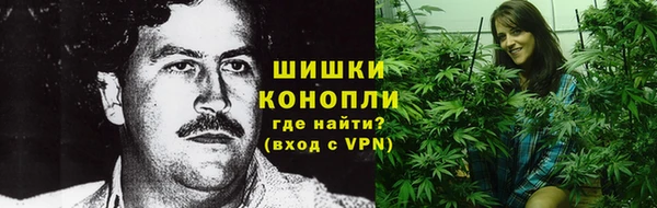 шишки Балахна