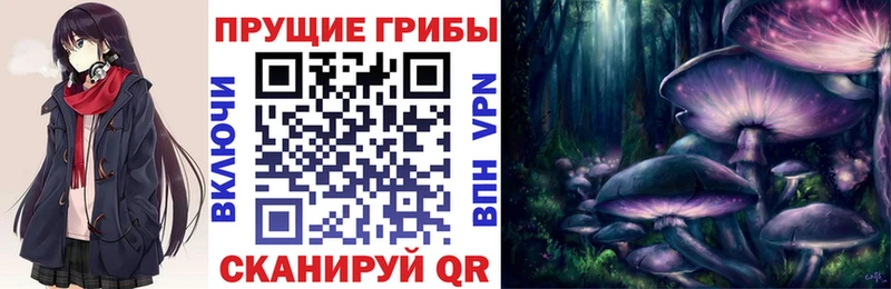 Псилоцибиновые грибы GOLDEN TEACHER  сколько стоит  Ленинск 